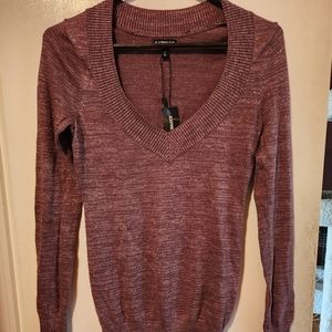 EXPRESS VNECK SWEATER